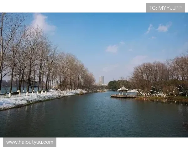 低调看直播：安静享受，远离喧嚣的精彩